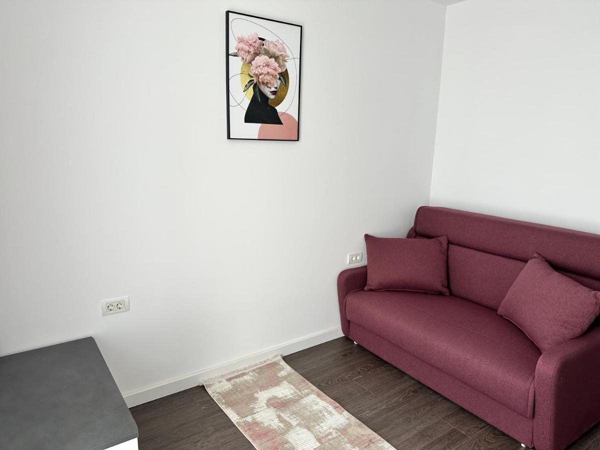 Campeador Apartament's * Timisoara
